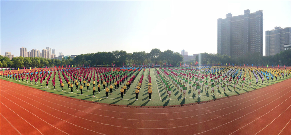 20181101154104190531602783.jpg QQ图片20181031205403.jpg