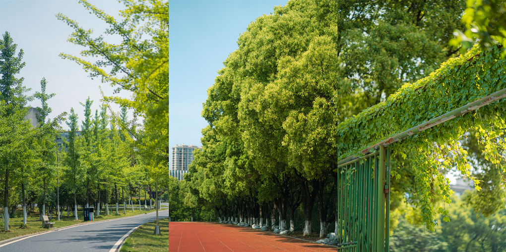 20220425165088106457203291.jpg e7203d11ffffe49770cea6562ccfdfc8-sz_3209235.webp_副本.jpg