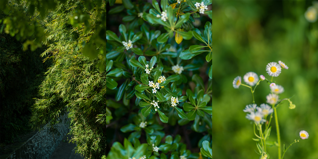 20220425165088110339304100.jpg HUX05216_副本.jpg