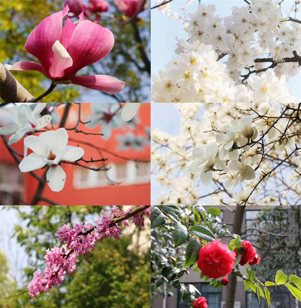 20220425165088159367307096.jpg 4a059d002f939d4420c9ab76a97be0df-sz_2053169.webp_副本.jpg