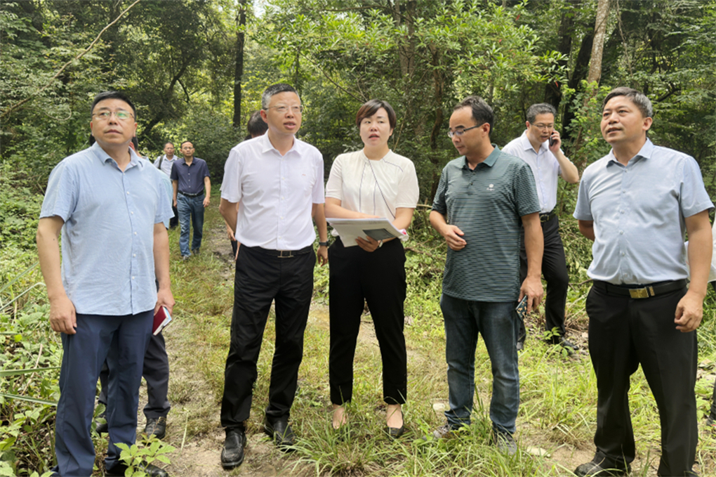 20230620168722493337205204.jpg 0C237B6E-D1DE-4acd-B754-978967B582BC.jpg